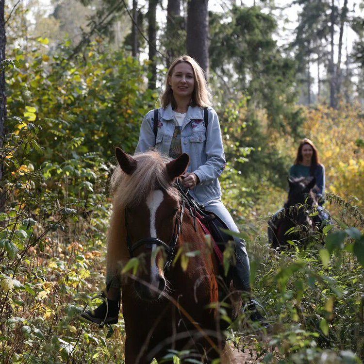 Конные прогулки