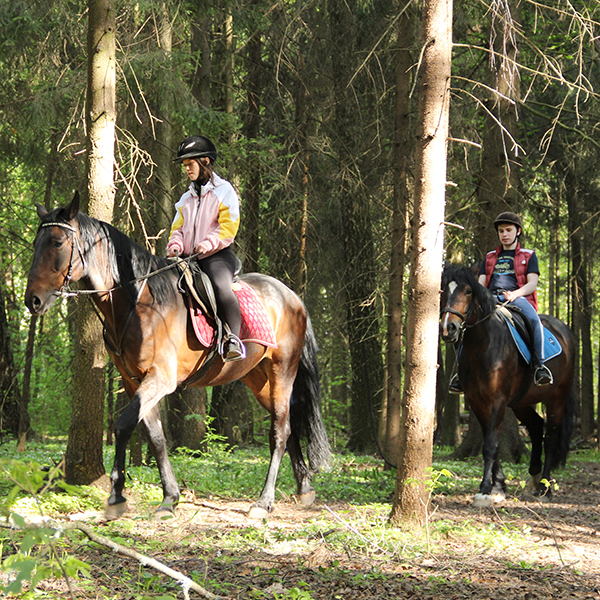 Катание на лошадях