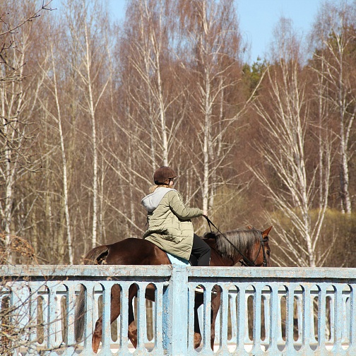 Общий для всех страниц
