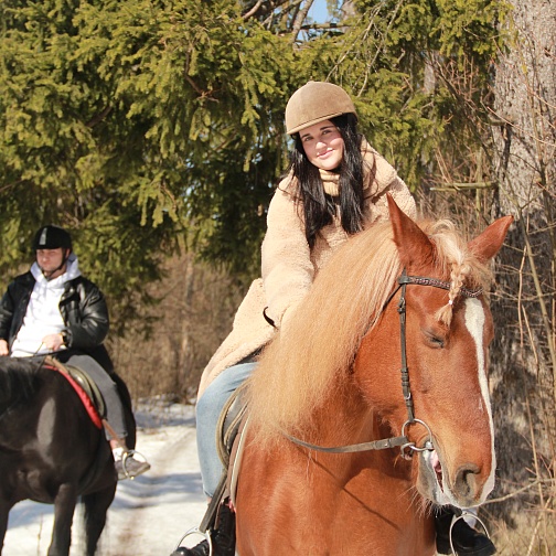 Общий для всех страниц