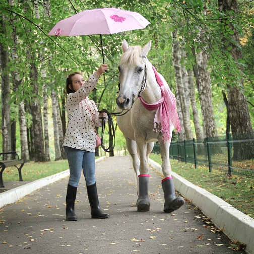 Общий для всех страниц