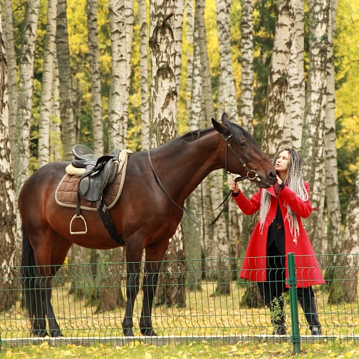 Общий для всех страниц