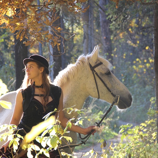 Общий для всех страниц