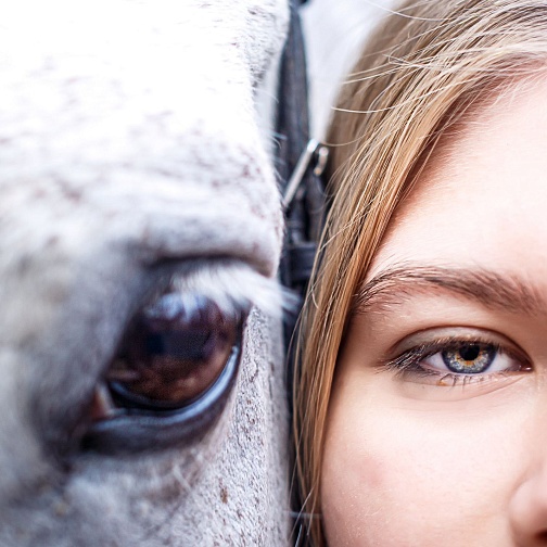 Фотосопровождение конной прогулки