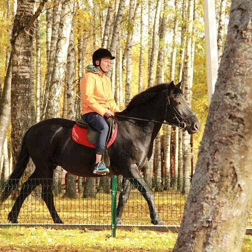 Активный выходной