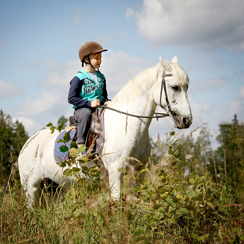 Общий для всех страниц