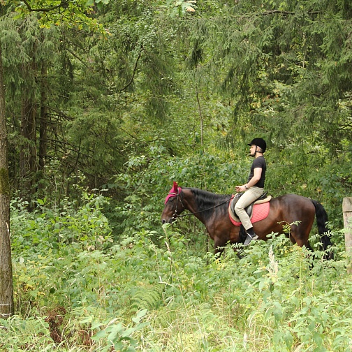 Активный выходной