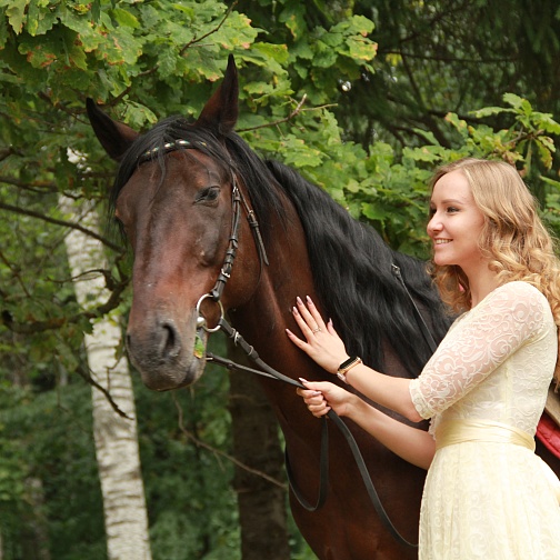 Общий для всех страниц