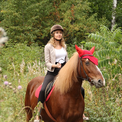 Общий для всех страниц