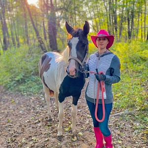 Алглийский с лошадьми