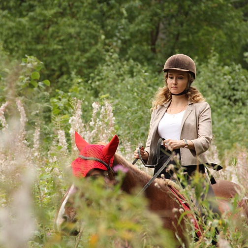 Общий для всех страниц