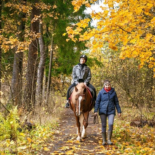 Фотосопровождение конной прогулки