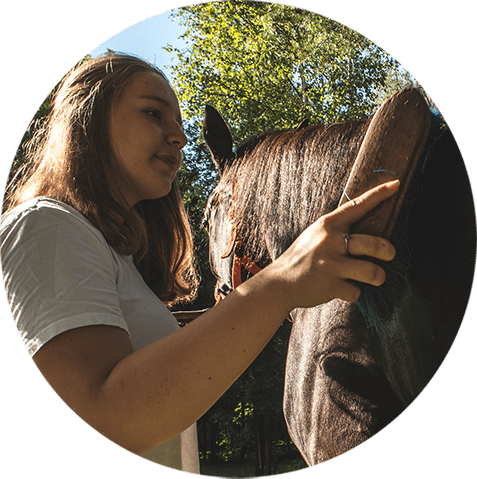 Программа «умелый конник»